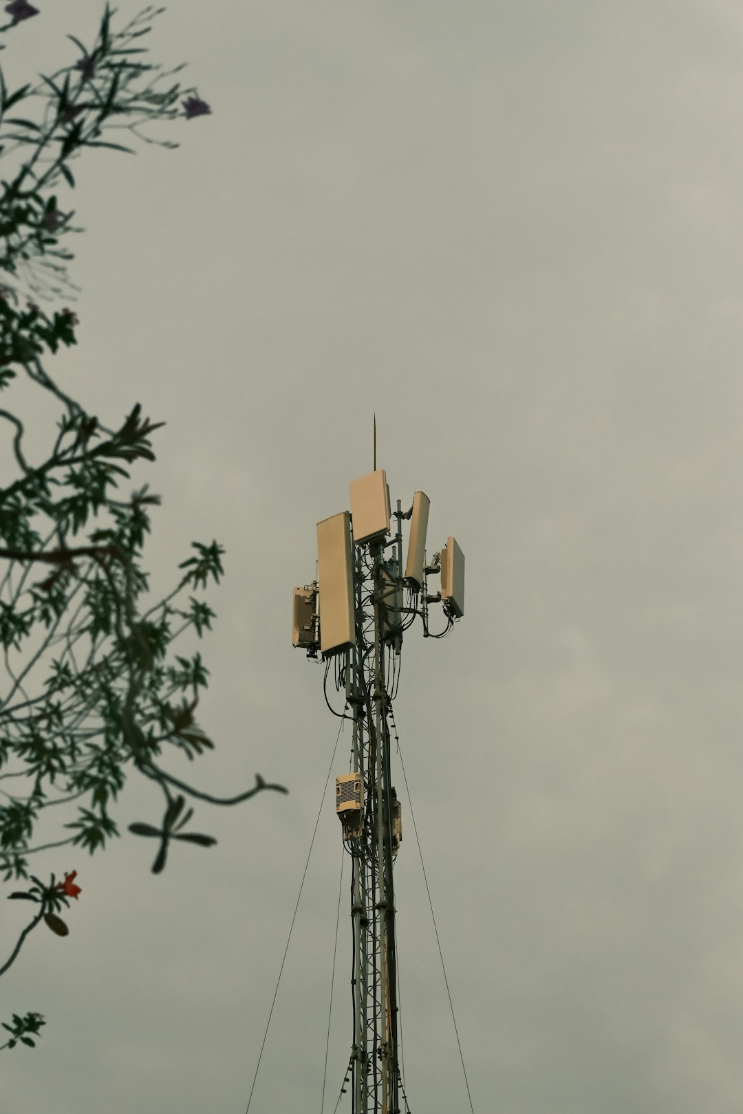 Singtel 5G Coverage Map